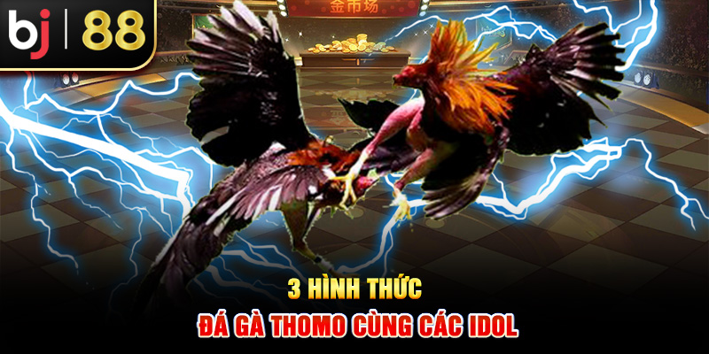 3 hình thức đá gà thomo cùng các idol