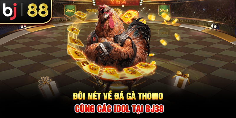 Đôi nét về đá gà Thomo cùng các idol tại BJ38